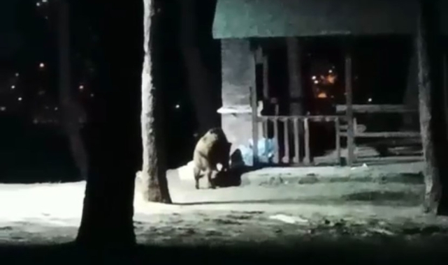 Bursa'ya Nisan ayında kar yağdı