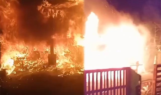 Çiftlikteki yangın çok sayıda tavuğu telef etti