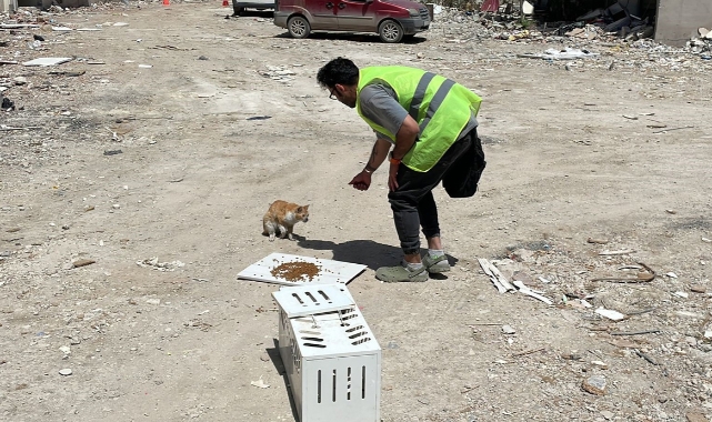 Depremden 76 gün sonra canlı bulundu