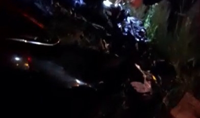 Diyarbakır’da otomobil mandalara çarptı