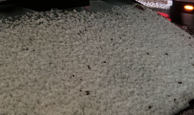 Elâzığ'ı dolu vurdu! Görenler kar zannetti