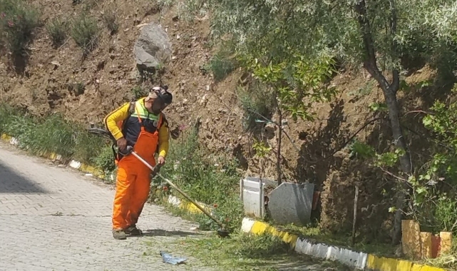 Gemlik’te bahar mesaisi