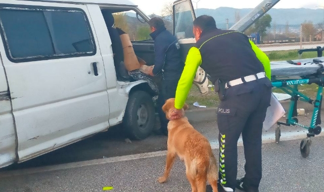 Araçta sıkışan sürücüyü köpeği yalnız bırakmadı