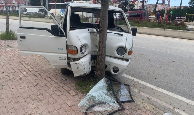 Kontrolden çıkan kamyonet ağaca çarptı