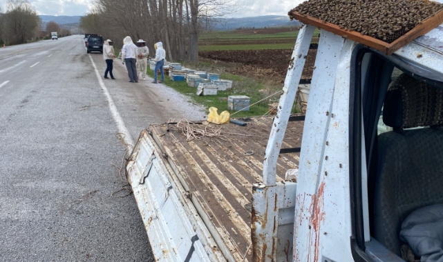Kovan yüklü kamyonet devrildi; arılar yola saçıldı