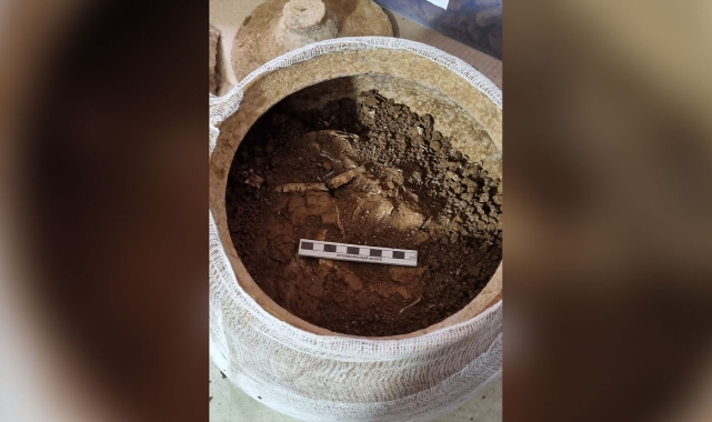 Lahidin içindeki küplerden "insan kemikleri" çıktı
