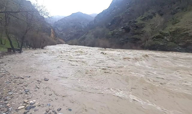Munzur ve Pülümür çayları taştı