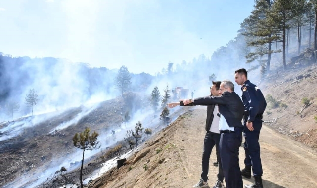 Ormanlık alanda yangın kontrol altına alındı