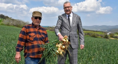Soğan fiyatları bayramdan sonra düşecek
