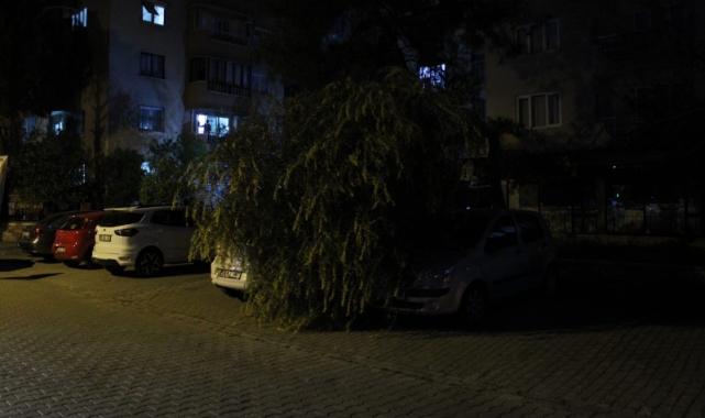 Vatandaşın dikkati otomobilleri kurtardı