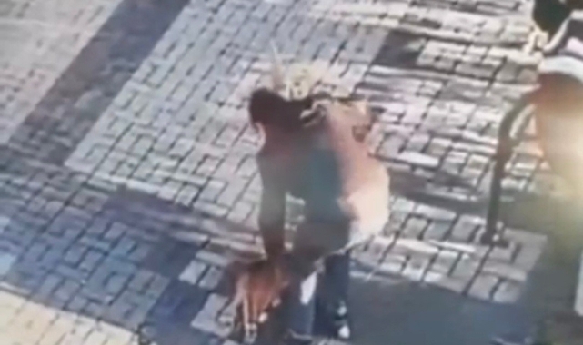 14 yaşındaki çocuk kediyi mala ile dövdü