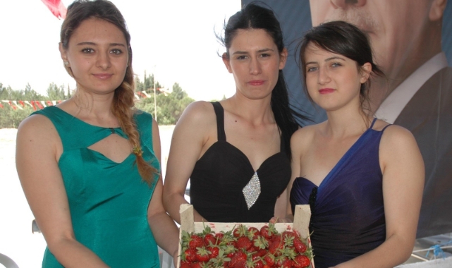 35. Çilek ve Kültür Festivali için geri sayım başladı