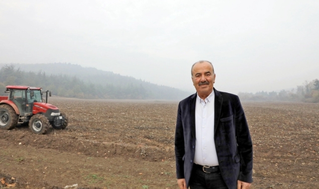 Ayçiçeği ve Buğday tohumları toprakla buluşuyor