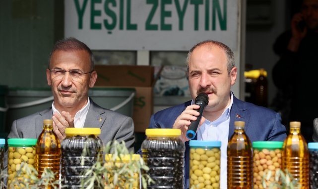 Bakan Varank'tan Gemlik zeytini üreticilerine ziyaret