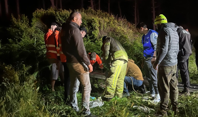 Beykoz'da kuyuya düşen vatandaş ve kedi kurtarıldı