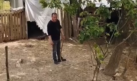 Bursa’da bahçesine giren yılanı elleriyle yakaladı
