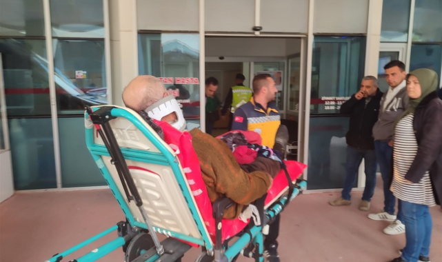 Bursa'da yaşlı çift ölümden döndü
