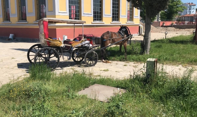 Faytoncuyu önce darbettiler ardından bıçakladılar