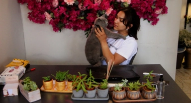 Hırsızlık için girdiği çiçekçiden kedi çaldı