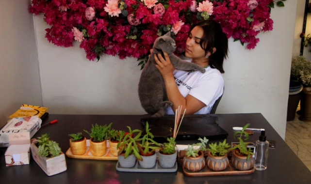 Hırsızlık için girdiği çiçekçiden kedi çaldı