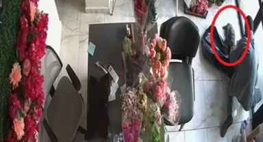 Hırsızlık için girdiği çiçekçiden kedi çaldı