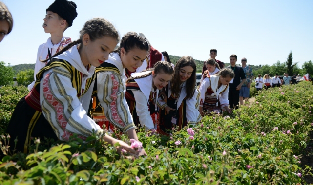 Isparta’da gül zamanı festivalle renklenecek