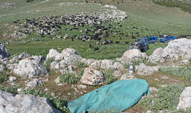 Karaman'da bir kadın eşini ve kayınbiraderini öldürdü