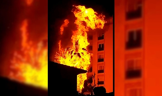 Mersin'de palmiye ağaçları alev topuna döndü!