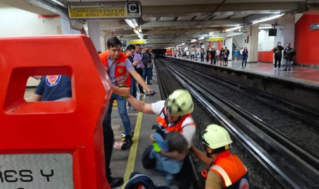 Raylara giren tavuk metro seferlerini aksattı