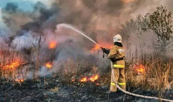 Rusya'da orman yangını 13 eve sıçradı
