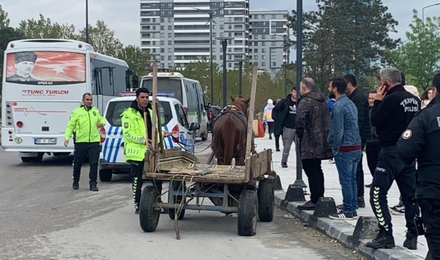 Tekirdağ’da at arabası kaos çıkardı