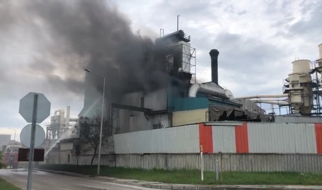Tekirdağ'da kereste fabrikasında yangın