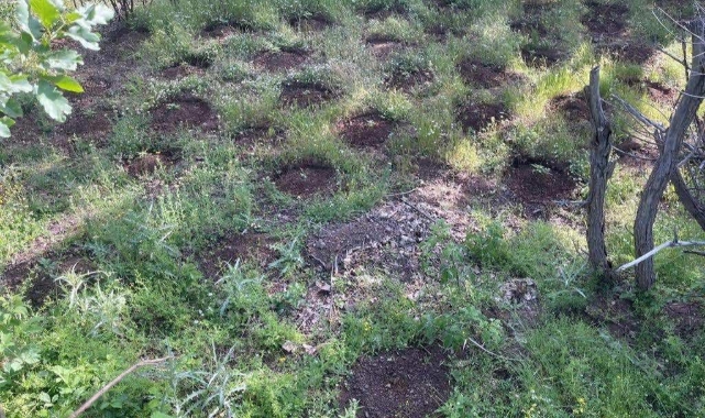 Toprağa gömülü patlayıcı madde ele geçirildi