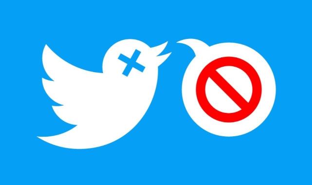 Twitter'a mahkeme kararıyla erişim engeli