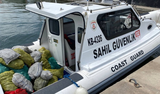 Yasa dışı midye avcılarına operasyon!