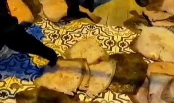 Yasadışı kalkan balığı avlayanlara ceza
