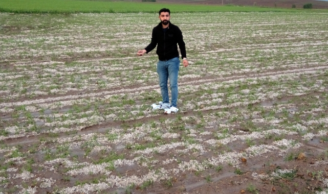 Yozgat’ta dolu tarım arazilerine zarar verdi