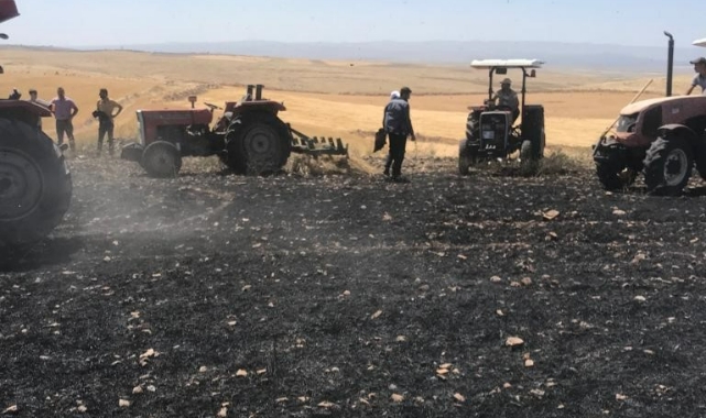 100 dönümlük buğday tarlası küle döndü