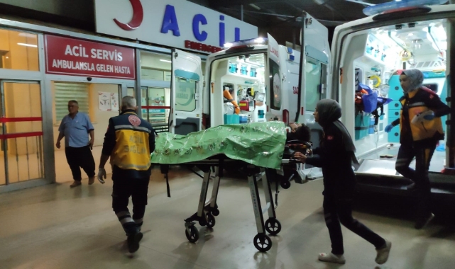 Adana'da kontrolden çıkan otomobil şarampole devrildi