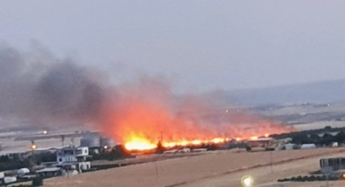 Adıyaman'da 70 dönümlük alan küle döndü