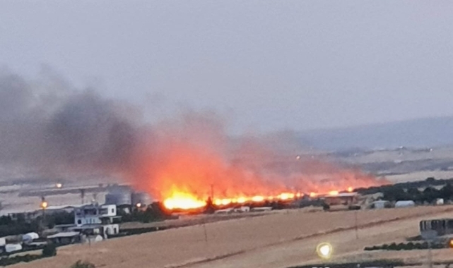 Adıyaman'da 70 dönümlük alan küle döndü