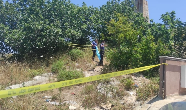 Ağaçlarında arasında ölü bulunmuştu, cinayete kurban gitmiş