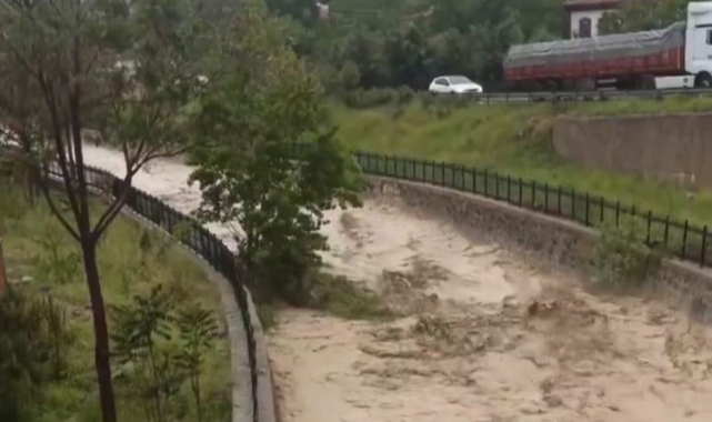 Ankara'da dere taştı: Ağaçları yerinden kopardı!