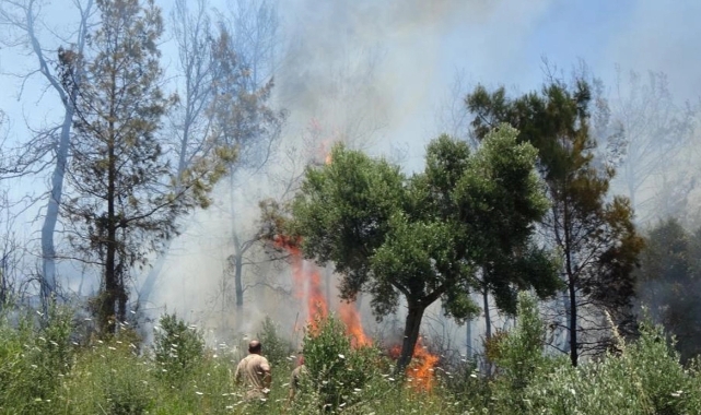 Antalya Valiliği duyurdu! 31 Ekim'e kadar yasaklandı