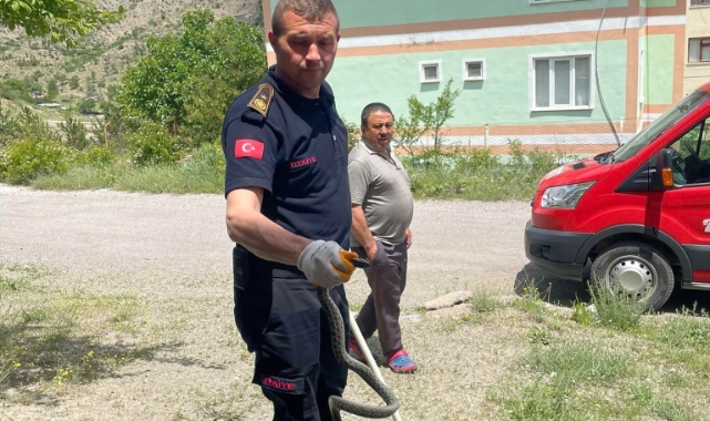 Apartmanda yılan paniği