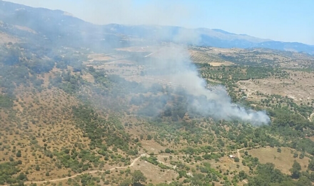 Bergama'da orman yangını