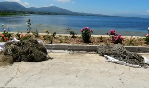 Beyşehir Gölü’nde balık avı sezonunu açıldı