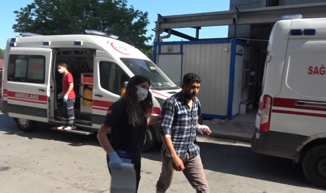 Bursa'da acemi kasap bilançosu! 462 yaralı...
