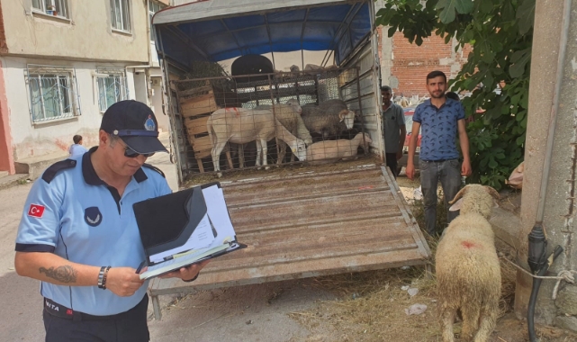 Bursa'da mahalle arasında kurban satışına izin yok