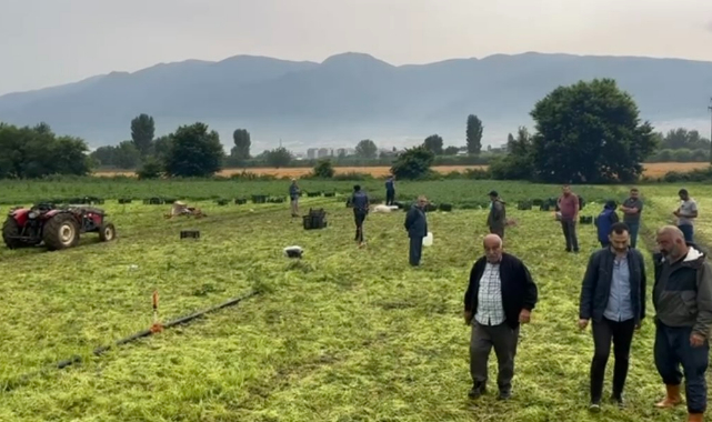 Bursa'da üstüne yıldırım düşen kadından acı haber!